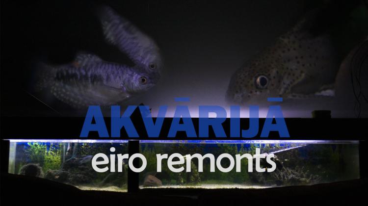 Eiro remonts akvārijā. DIY