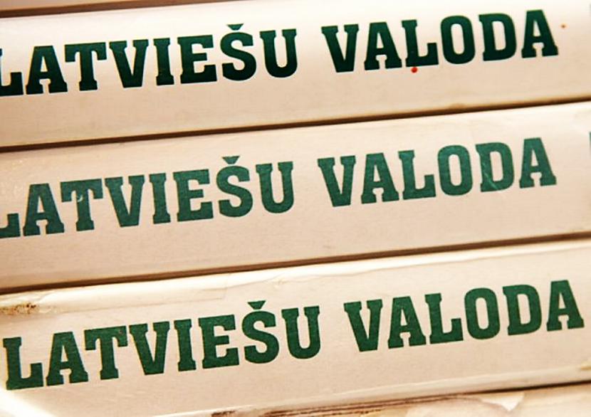 Tests: Vai tu zini, kas ir sinonīmi, antonīmi, homonīmi un citi?