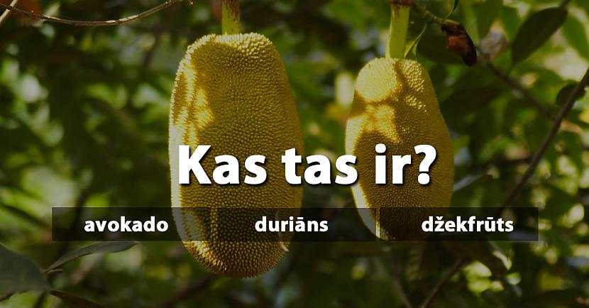 Tests: Liela daļa cilvēku nezina, kā sauc šos dārzeņus un augļus. Vai tu zini?
