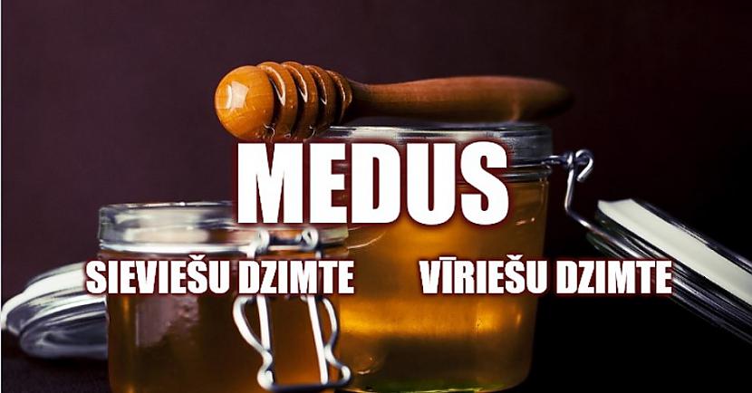 Tests: Pie kādas dzimtes latviešu valodā pieder dotais lietvārds?