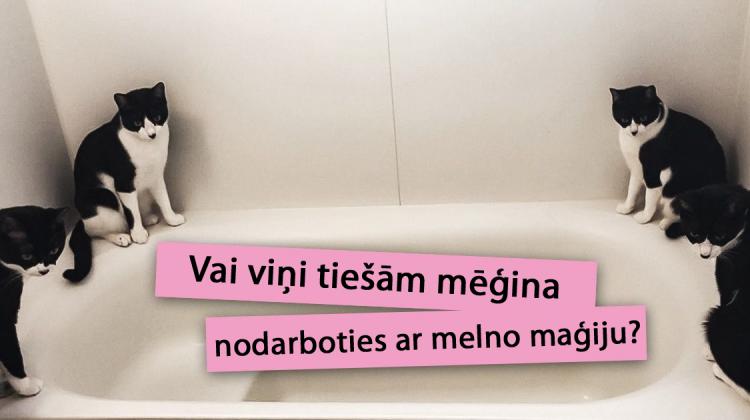 15 attēli, uz kuriem ir jāskatās divreiz, lai saprastu, kas tur vispār notiek