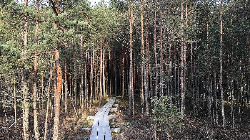Kā man pagāja 31. maijs. (bilde nesaistīta ar tekstu)