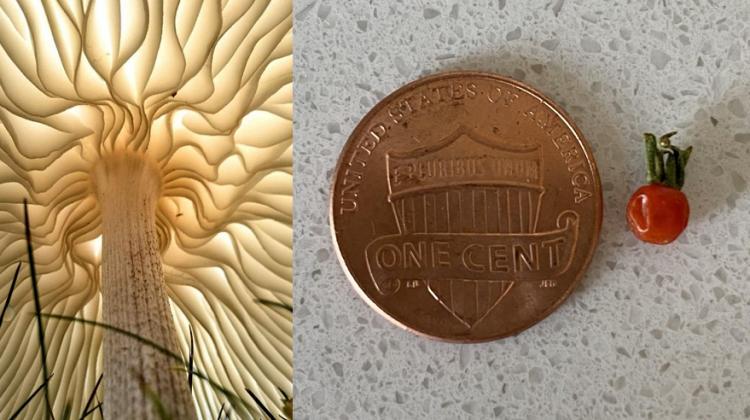 15 reizes, kad Māte Daba mūs pārsteidza