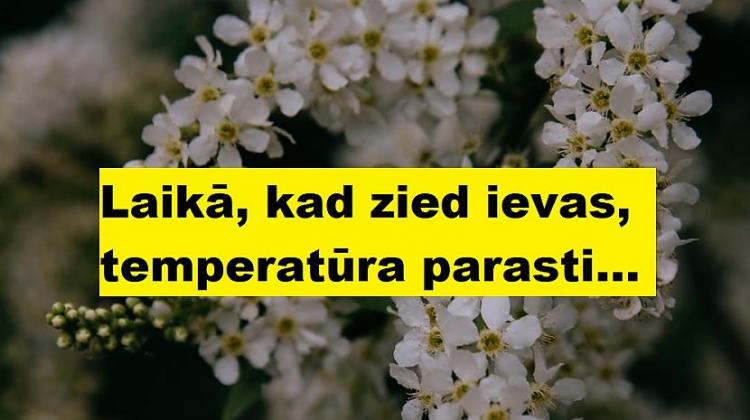 Tests: Noskaidro, vai esi pilsētnieks vai laucinieks!