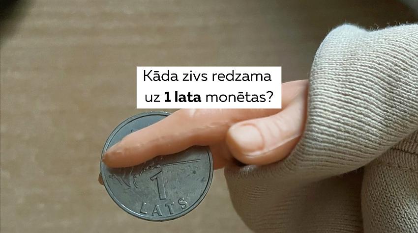 Šis, iespējams, ir vieglākais vispārējo zināšanu tests. Vari iegūt 100%?