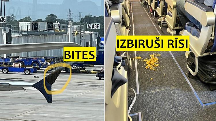 23 neparasti iemesli, kuru dēļ ir atcelts vai kavējies lidojums