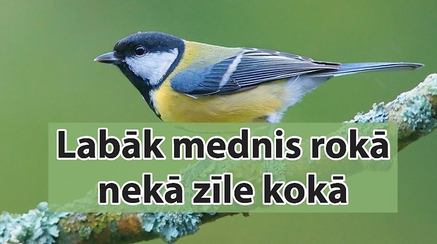 Tests: Vai šie latviešu sakāmvārdi ir uzrakstīti pareizi?