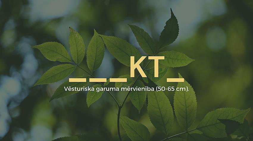Tests: Vai vari uzminēt šos retāk lietotus vārdus latviešu valodā?