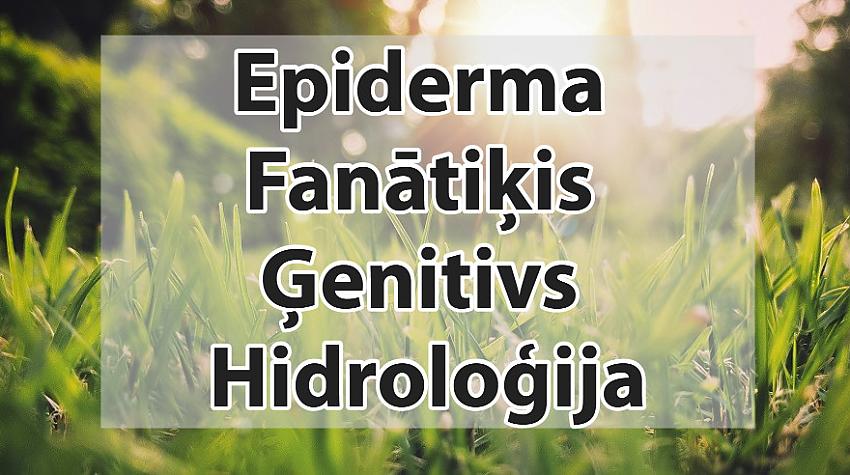 Tests: Kurš svešvārds ir uzrakstīts nepareizi?