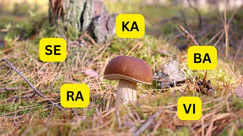 Tests: Kura no 5 zilbēm ir lieka?