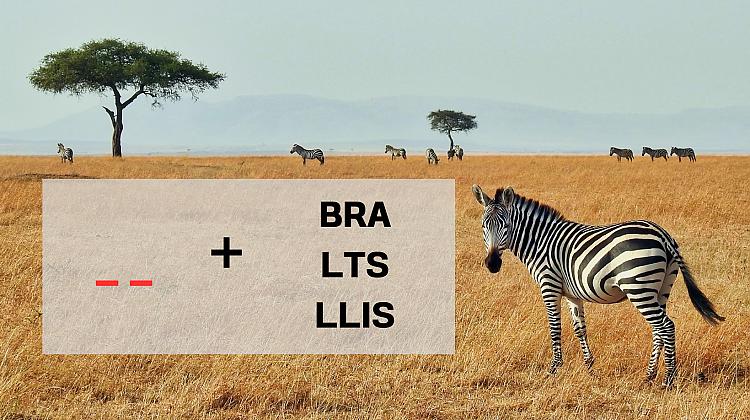 Tests: Ar kuriem diviem burtiem sākas dotie 3 vārdi?