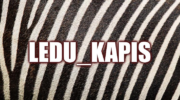 Tests: Vai vari pareizi ievietot trūkstošos burtus visos 10 salikteņos?