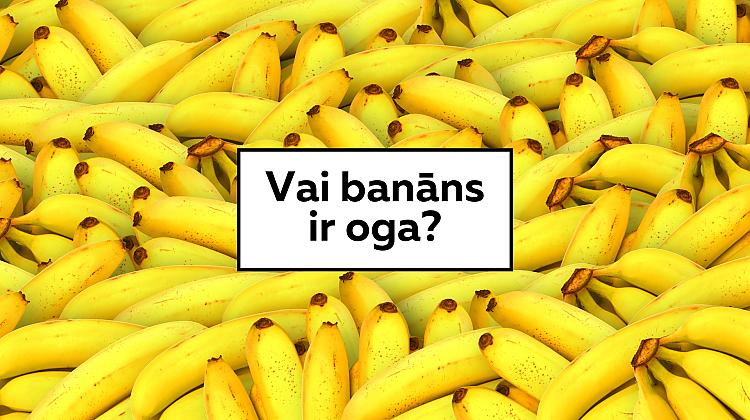 Tests: Ja tu esi gudrs, tu vari iegūt vismaz 8 punktus no 10