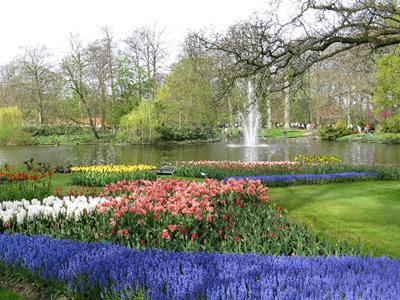  Autors: laforeta Keukenhof Garden – Ziedu debesis uz zemes