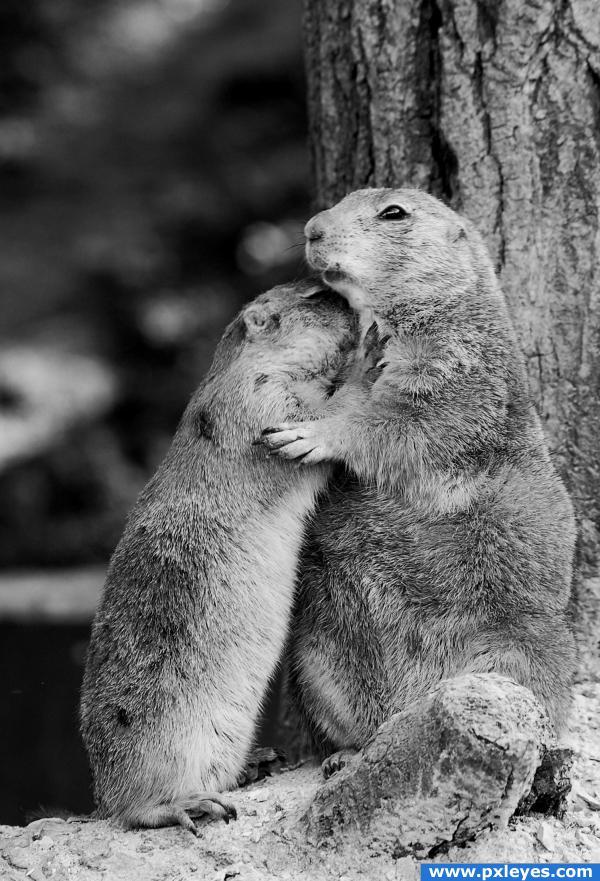 Dzīve ir izaicinājums pieņem... Autors: zemenigaa ''LOVE''