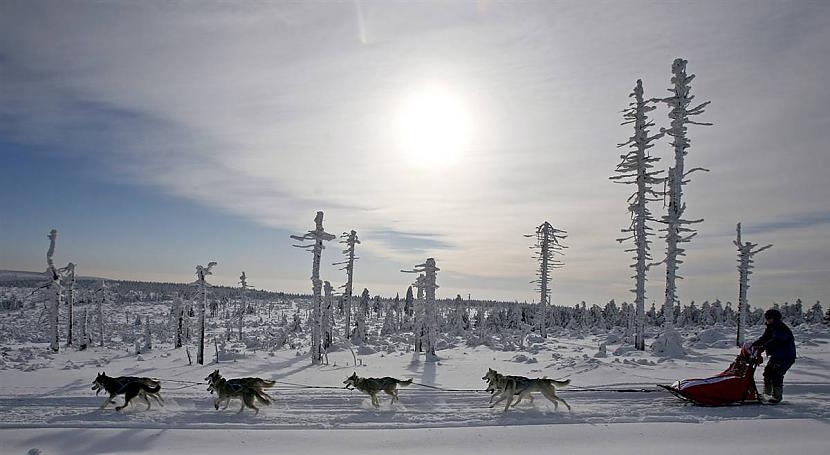 Sacensības Čehijā Autors: KingOfTheSpokiLand Dzīvniekiem Pa pēdām!