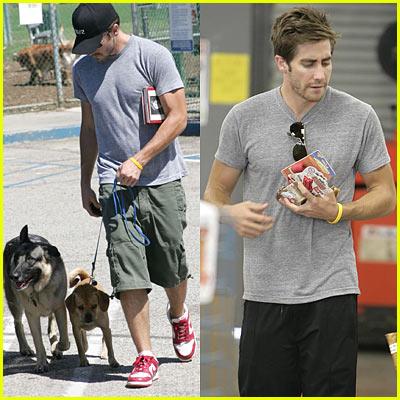 Jake Gyllenhaal and his three... Autors: Fosilija Slavenības ar saviem suņiem :)