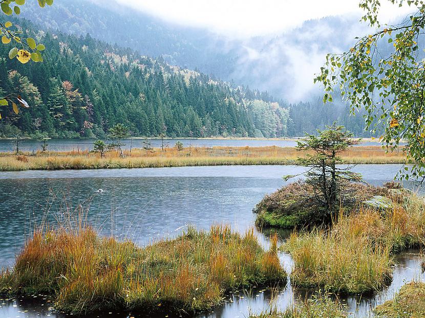 Small Arber Lake Bavarian... Autors: dzelksnis ceļojums pa eiropu