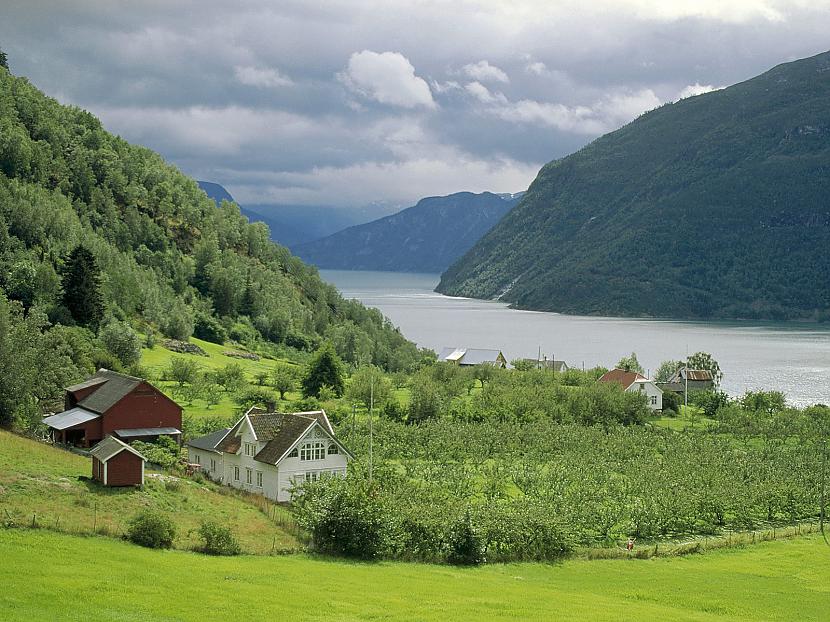 Urnes Sognefjord Norway Autors: dzelksnis ceļojums pa eiropu