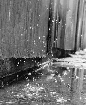 Rain Drop Splashes P by tkitty Autors: Citronsrar Aaaaahhh..... emociju jūklis