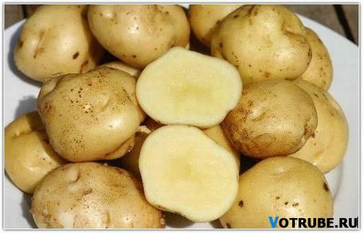 1vieta Dārgākie kartupeļi ir... Autors: coldasice Dārgākie ēdieni pasaulē