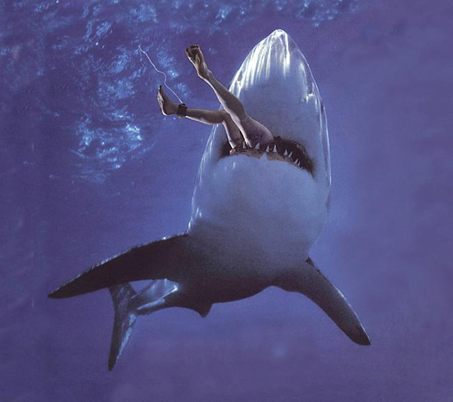 Haizivs uzbrūkot savam upurim... Autors: coldasice Interesanti fakti par dzivniekiem