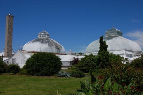  Autors: Eglers Botaniskie dārzi.