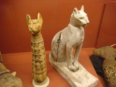 Senajā ēģiptē kad nomira kaķis... Autors: UndeadCrabstick Interisanti fakti par nāves gadījumiem