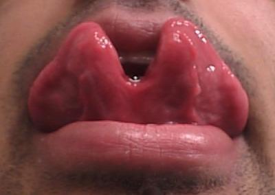Tongue SplittingMēles... Autors: augsina Citāds ķermenis
