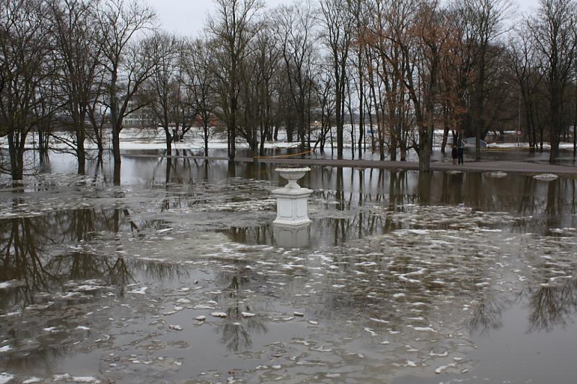  Autors: PeleMele Plūdi Jelgavā