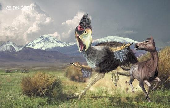9 PHORUSRHACIDS Saukts arī par... Autors: Citizen Cope TOP 15 Visbīstamākie dinozauri
