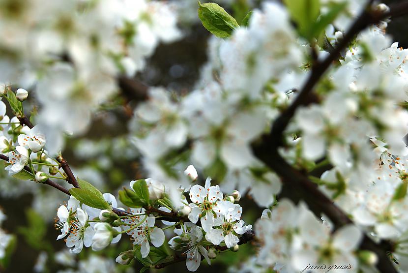  Autors: hunkers nedaudz mana hobija