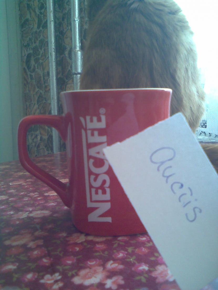  Autors: aucīis Nescafe krūze