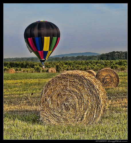  Autors: Roby °Balloon.