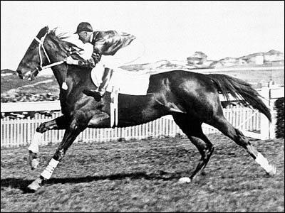  Phar Lap  Jaunzēlandē... Autors: kyra Famous Horses 2. Legendary Racehorses.