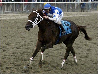  Smarty Jones Dzimis 2001gadā... Autors: kyra Famous Horses 2. Legendary Racehorses.