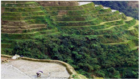 2 Banaue Rīsa terases Ifugao... Autors: LeEneRgy Top 10 – Neoficiālie pasaules brīnumi