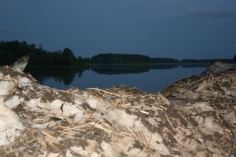  Autors: cheryy It kā jau vasara sākusies bet nu...