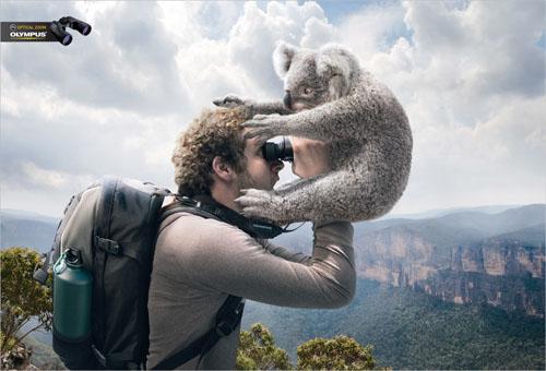 Olympus Binoculars Koala Autors: magenta 160 kreatīvas un uzmanību cienīgas reklāmas no visas pas