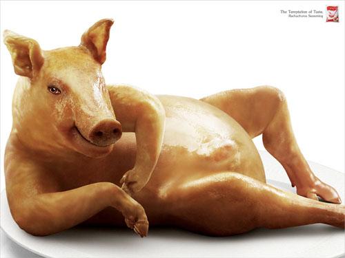 Rachachuros Seasoning Pig Autors: magenta 160 kreatīvas un uzmanību cienīgas reklāmas no visas pas