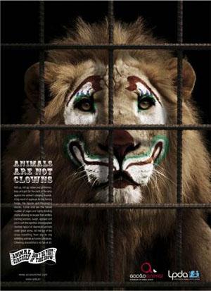 LPDA Lion Autors: magenta 160 kreatīvas un uzmanību cienīgas reklāmas no visas pas