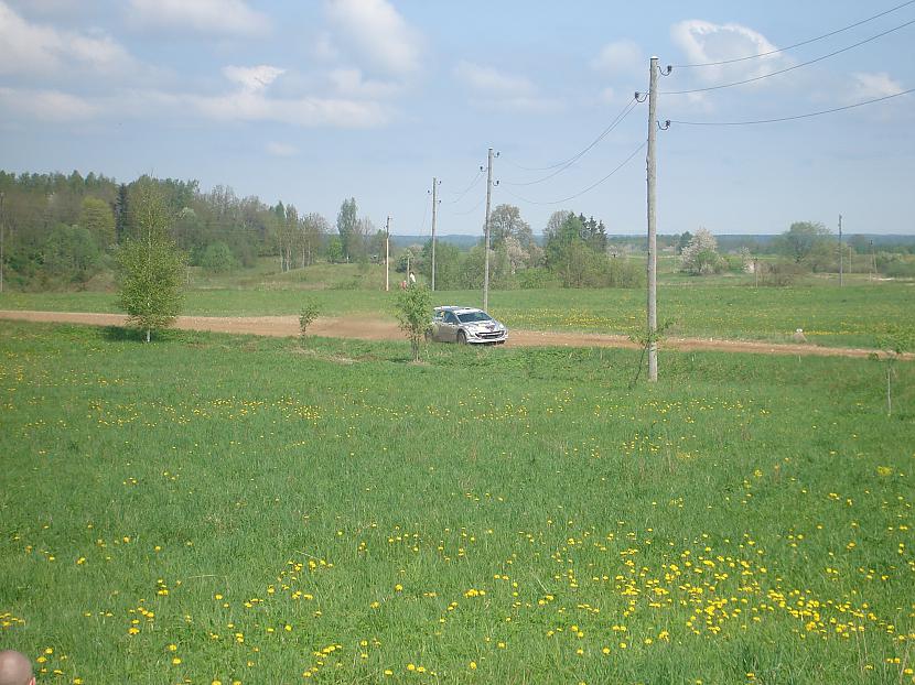  Autors: Fosilija rallijs talsi 2010