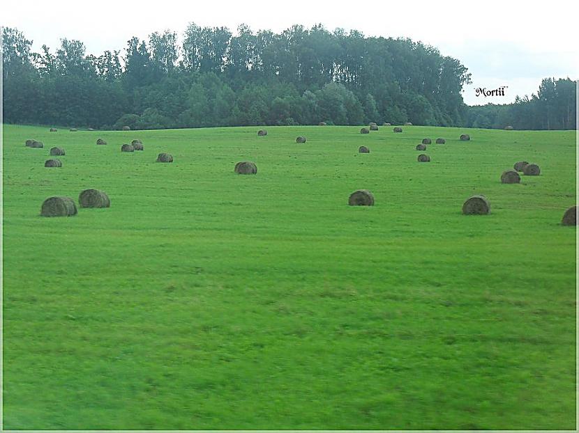 Braucot uz Valmieru nebija ko... Autors: Mortii No manis !