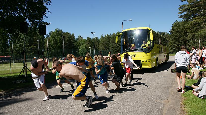  Autors: AndrisZalais Vilkām autobusu