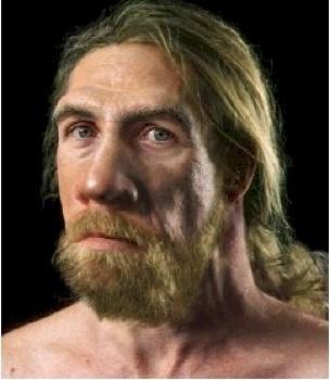 Meli  Neandertāliescaroni bija... Autors: heh meli par neandertāliešiem.