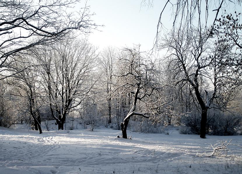 Winter Autors: overtherainbow Nature