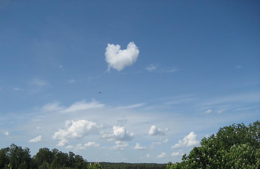  Autors: Larijsbezbiksis Love is in the air