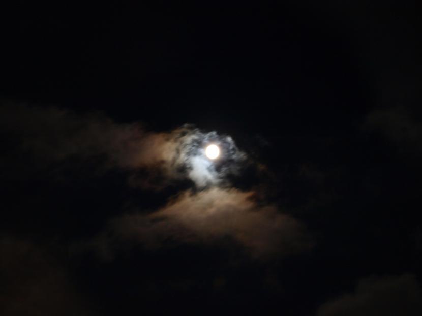It was full moon Autors: DakotaDiamond Man patīk paniekoties