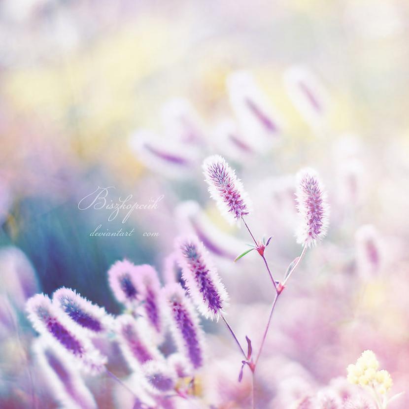 Vispirms cilvēks iemācas krist... Autors: anny Beautiful, calm, soft and dreamy photography