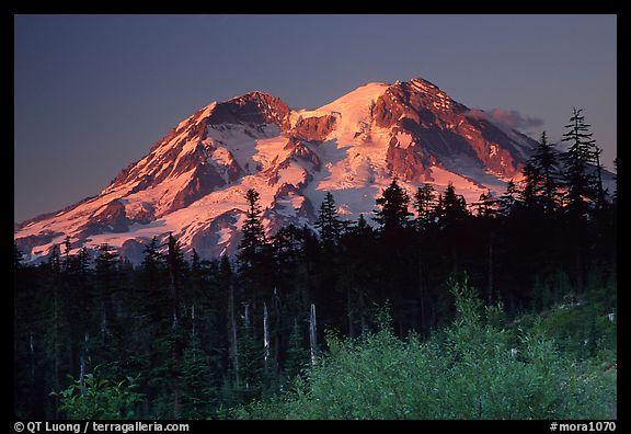  Mt Rainier at sunset from... Autors: Rampage Skaisti dabas skati  :)